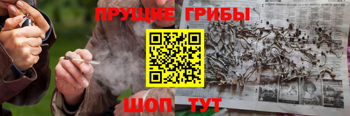 Галлюциногенные грибы ЛСД Коммунар